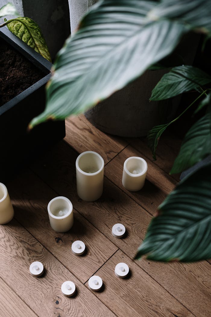A serene indoor scene featuring candles and lush green leaves on a wooden floor.